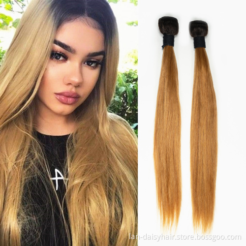 Lan-Daisy Honey Brazilian Straight Ombre Human Hair Bundles  8-26 Inches Blonde Straight Bundles Ombre Bundles Remy T27 Color